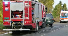 Fotka nr 2 z 18