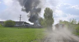 zdjęcie nr 9