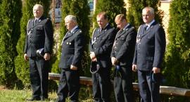 zdjęcie nr 11