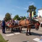 zdjęcie nr 15
