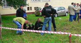 zdjęcie nr 14