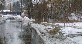 zdjęcie nr 7