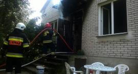 zdjęcie nr 8