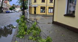 zdjęcie nr 13