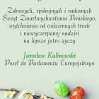 zdjęcie nr 11