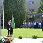 zdjęcie nr 31