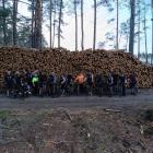 Fotka nr 1 z 13