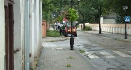 zdjęcie nr 12