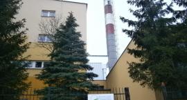 Fotka nr 1 z 3