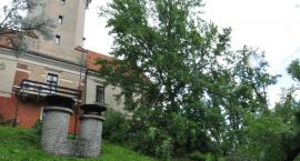 zdjęcie nr 41