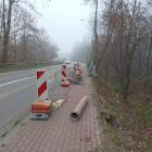 Fotka nr 1 z 2