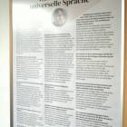 zdjęcie nr 19