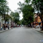 zdjęcie nr 43