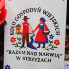 zdjęcie nr 60