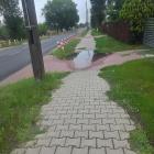 Fotka nr 2 z 4
