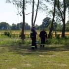 zdjęcie nr 26