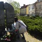 zdjęcie nr 7