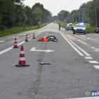 zdjęcie nr 23