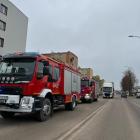Fotka nr 1 z 3