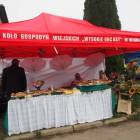 Fotka nr 2 z 53