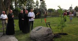 zdjęcie nr 36