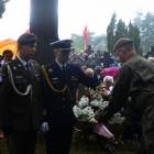 zdjęcie nr 42