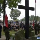 zdjęcie nr 43