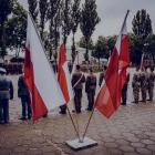 zdjęcie nr 9