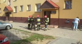 Fotka nr 1 z 8