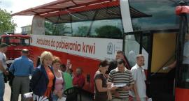 zdjęcie nr 11