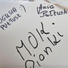 zdjęcie nr 16