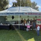 zdjęcie nr 31