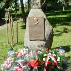 zdjęcie nr 15
