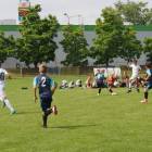 Fotka nr 2 z 131