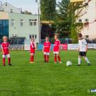 zdjęcie nr 14