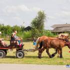 zdjęcie nr 173