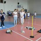 zdjęcie nr 30