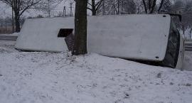 zdjęcie nr 7