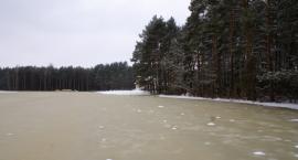 zdjęcie nr 12