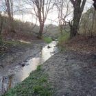 zdjęcie nr 31