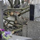 zdjęcie nr 33