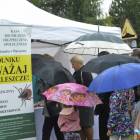 zdjęcie nr 44