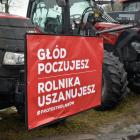Fotka nr 3 z 14
