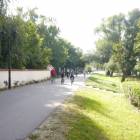 zdjęcie nr 8