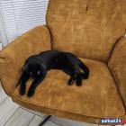 zdjęcie nr 19