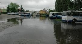 Fotka nr 2 z 14