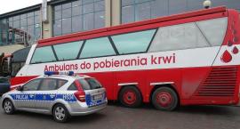 zdjęcie nr 9