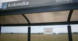 Fotka nr 2 z 4