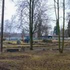 Fotka nr 3 z 11