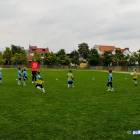 zdjęcie nr 12